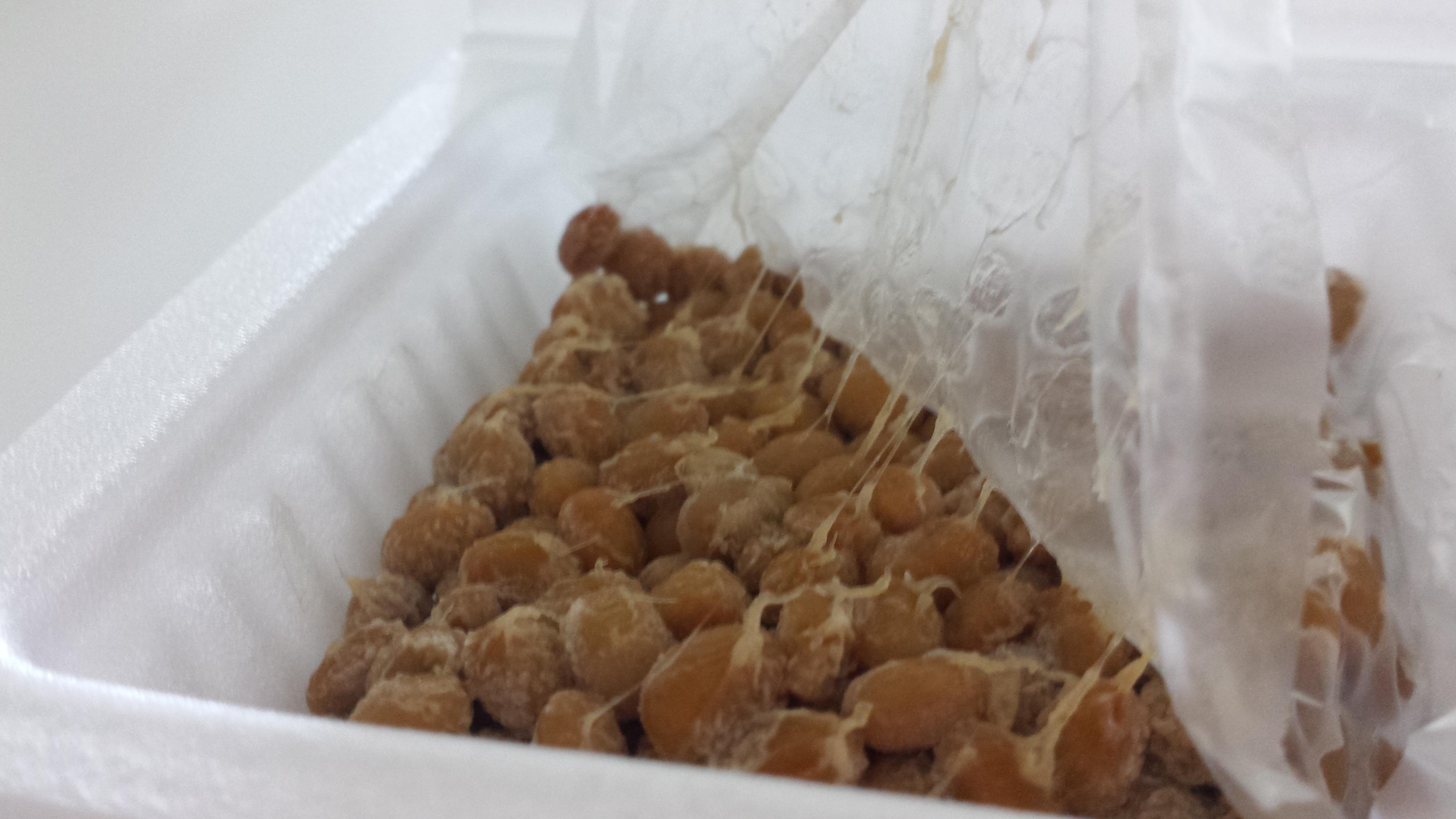 20160415_natto6
