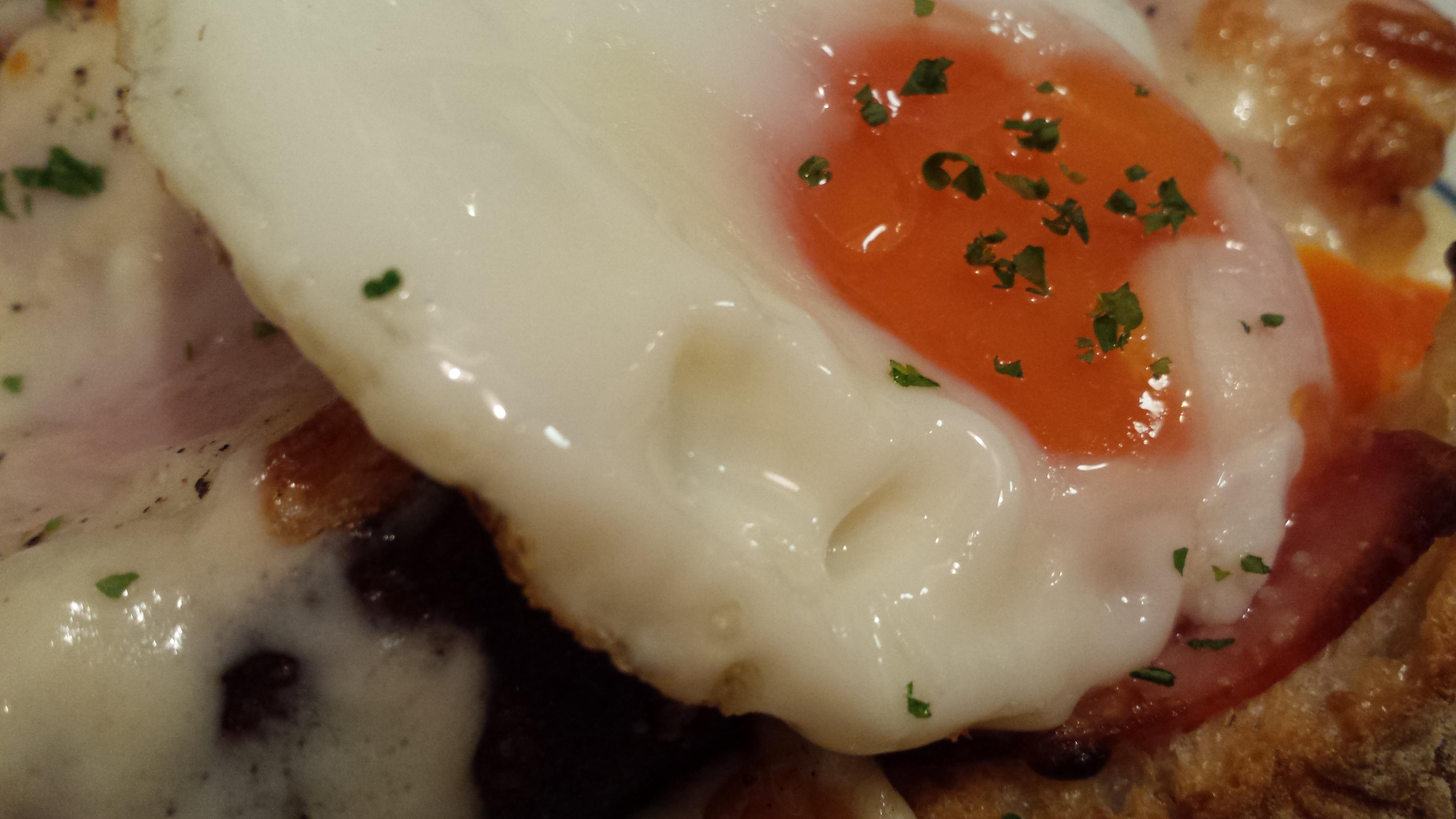 20160422_croque-madame4