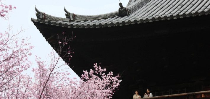 Peaceful Pink