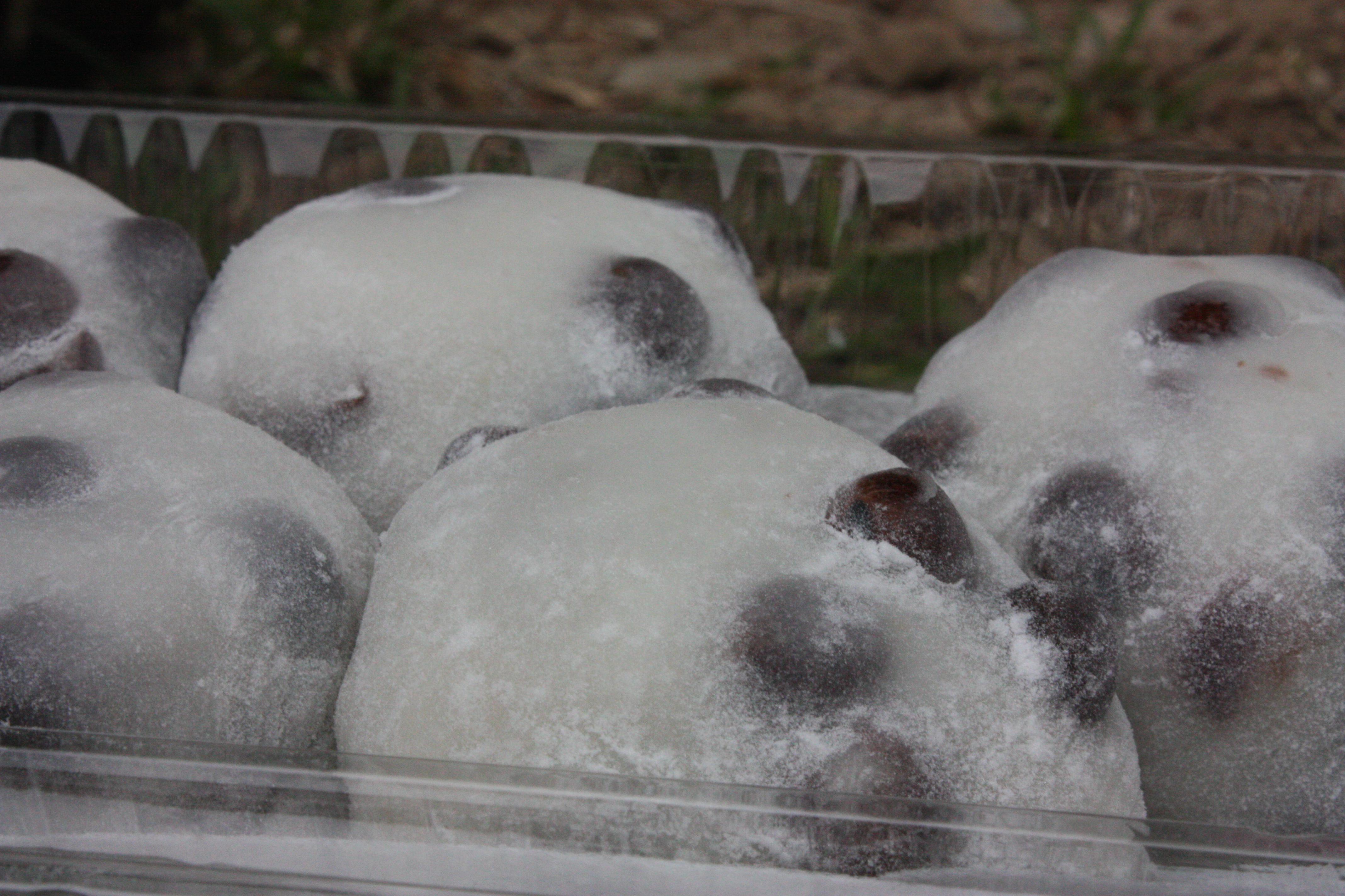 20160503_mochi5