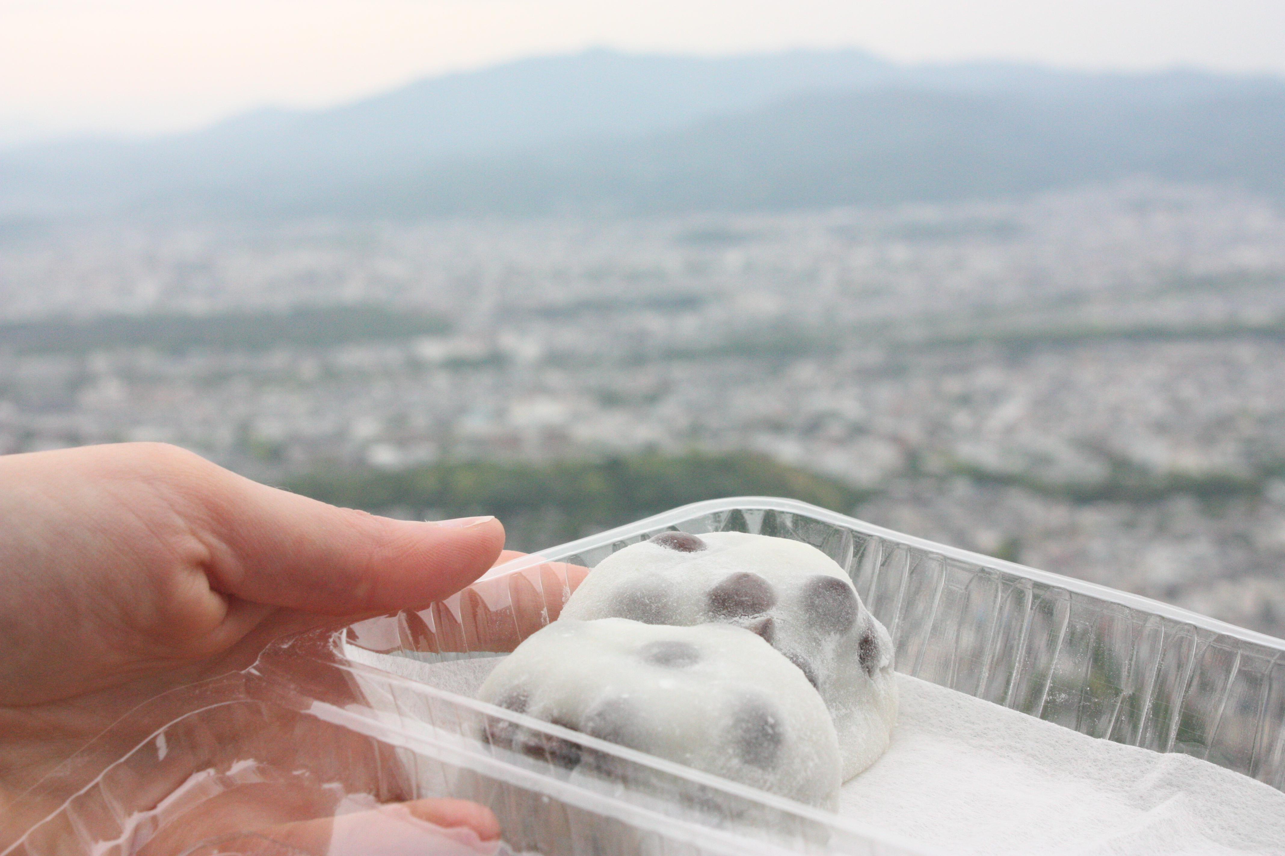20160503_mochi10