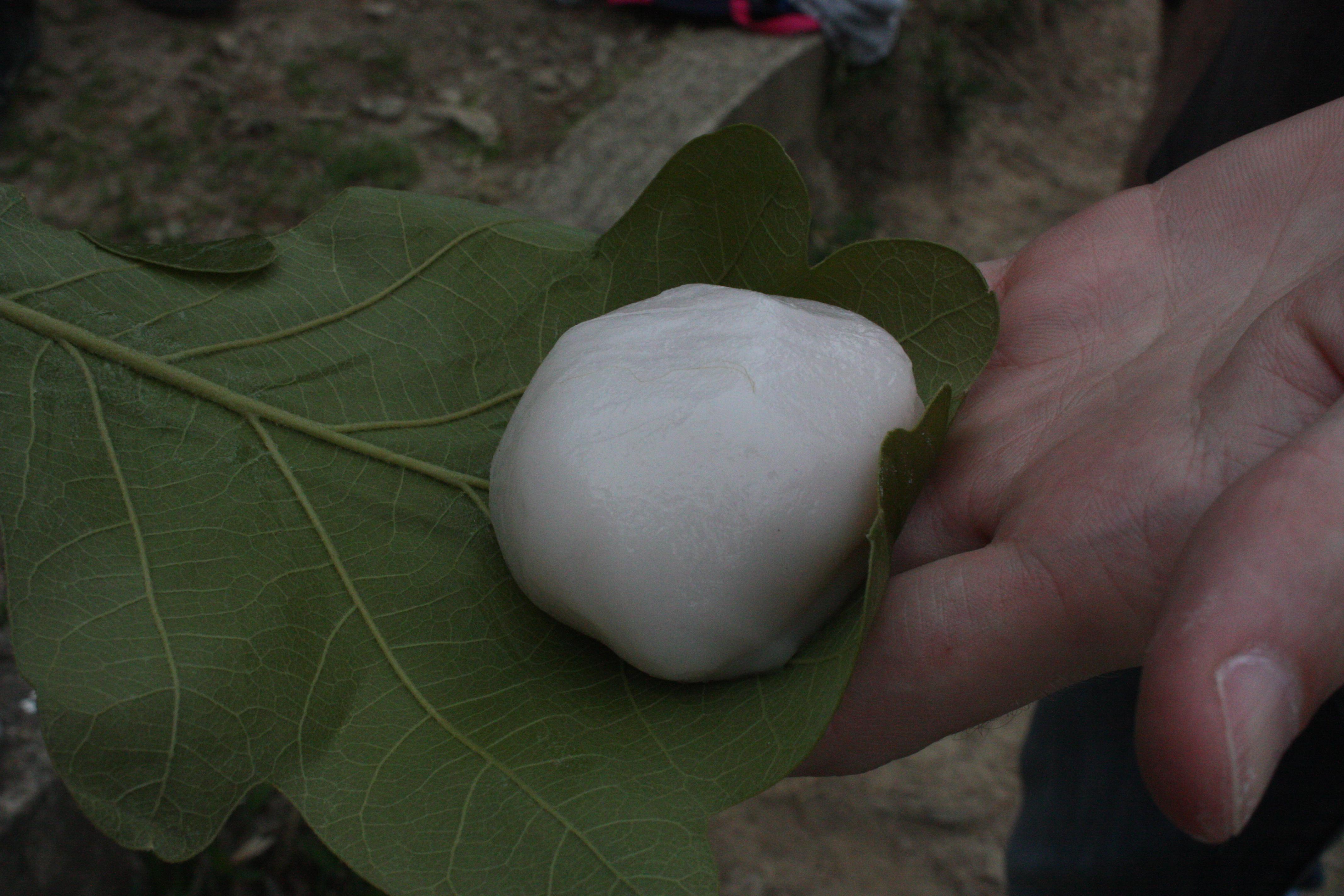 20160503_mochi11