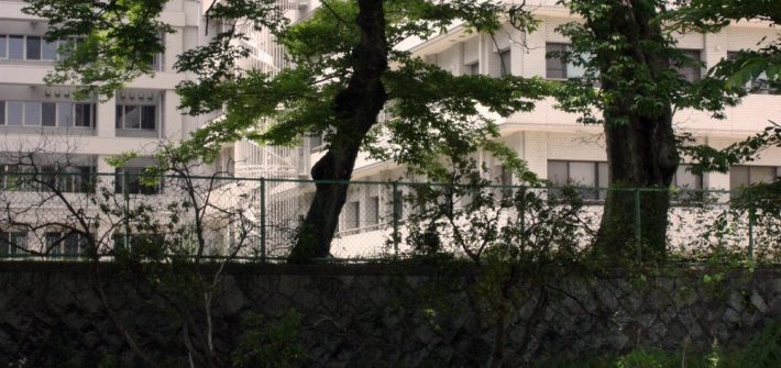 Le Déjeuner sur l'herbe