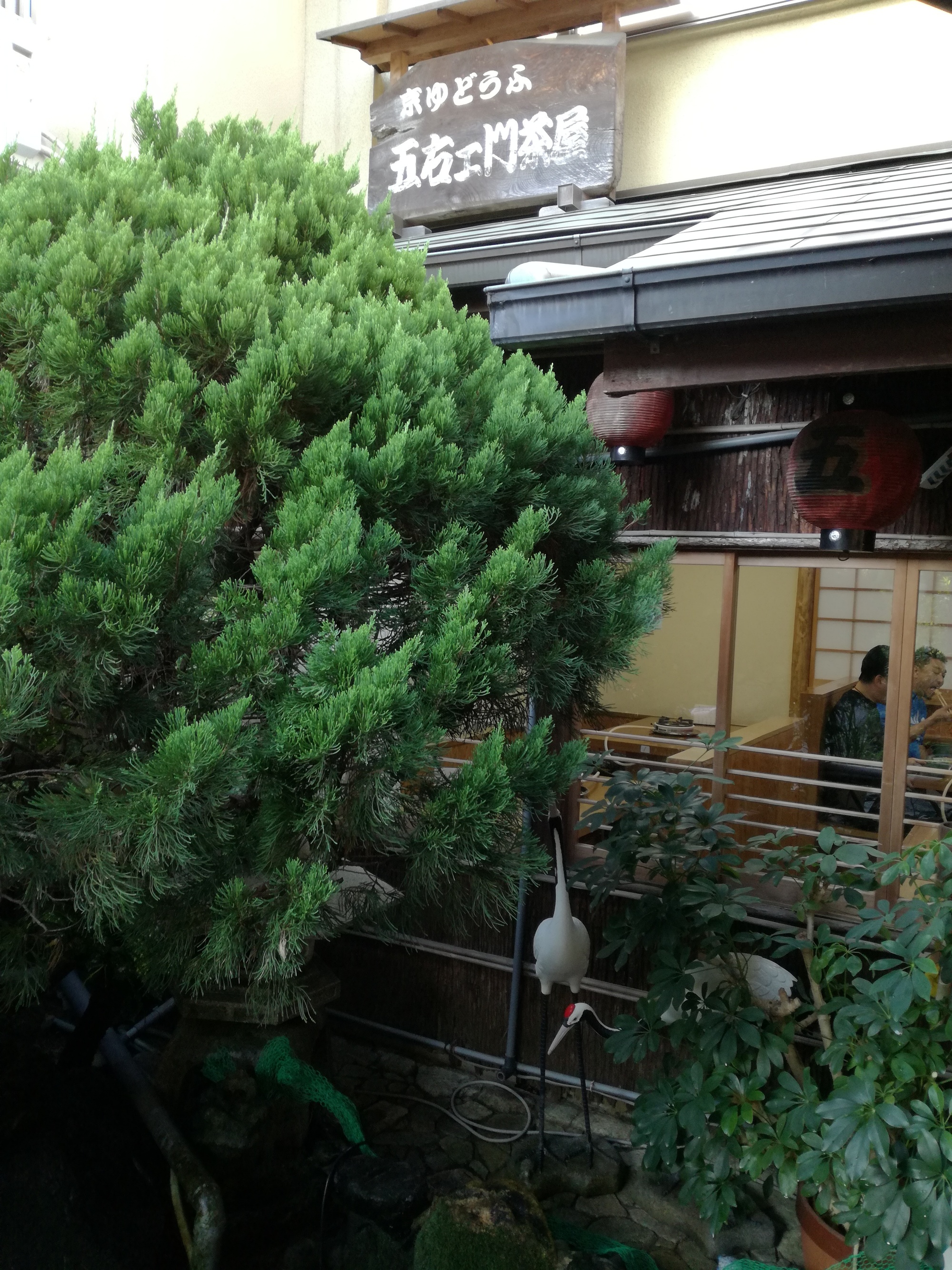 20161108_yudoufu2
