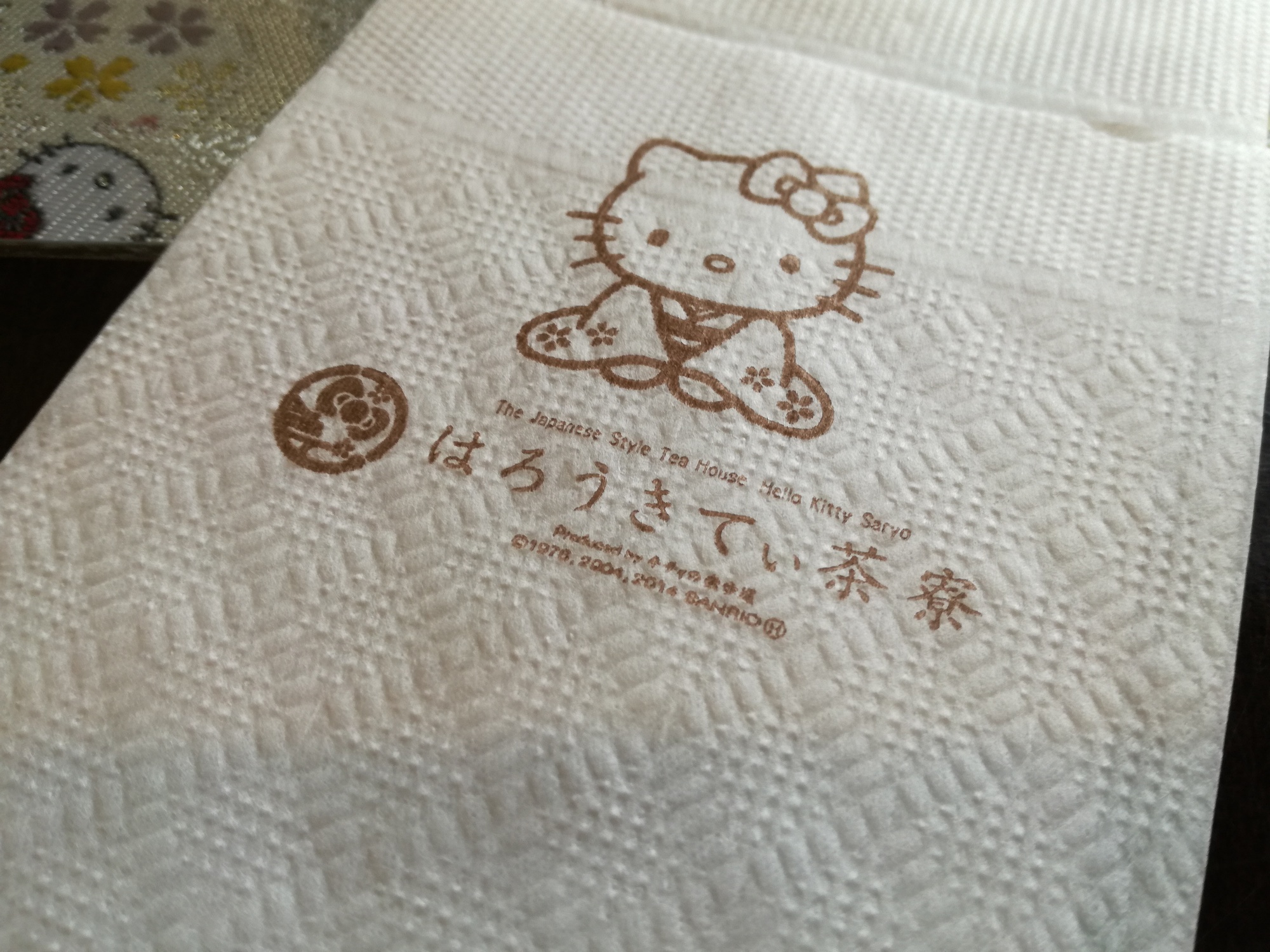 20161110_Hellokitty8